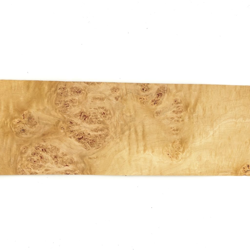 Oak Burr 56cm X 19cm – 6 sheets – Top Veneer