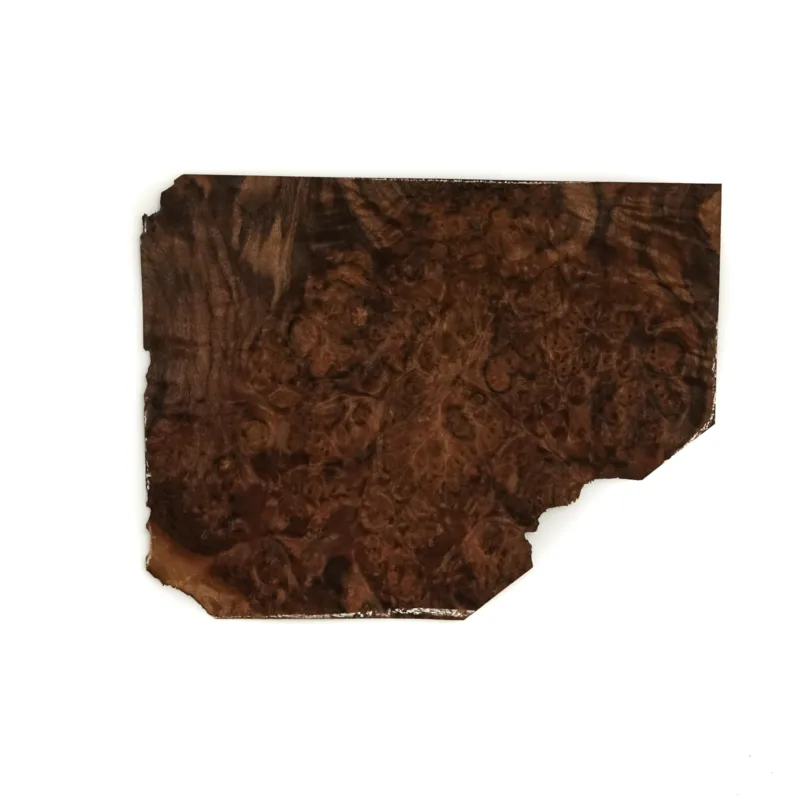 637582261005694536.jpg 637582261005694536.jpg