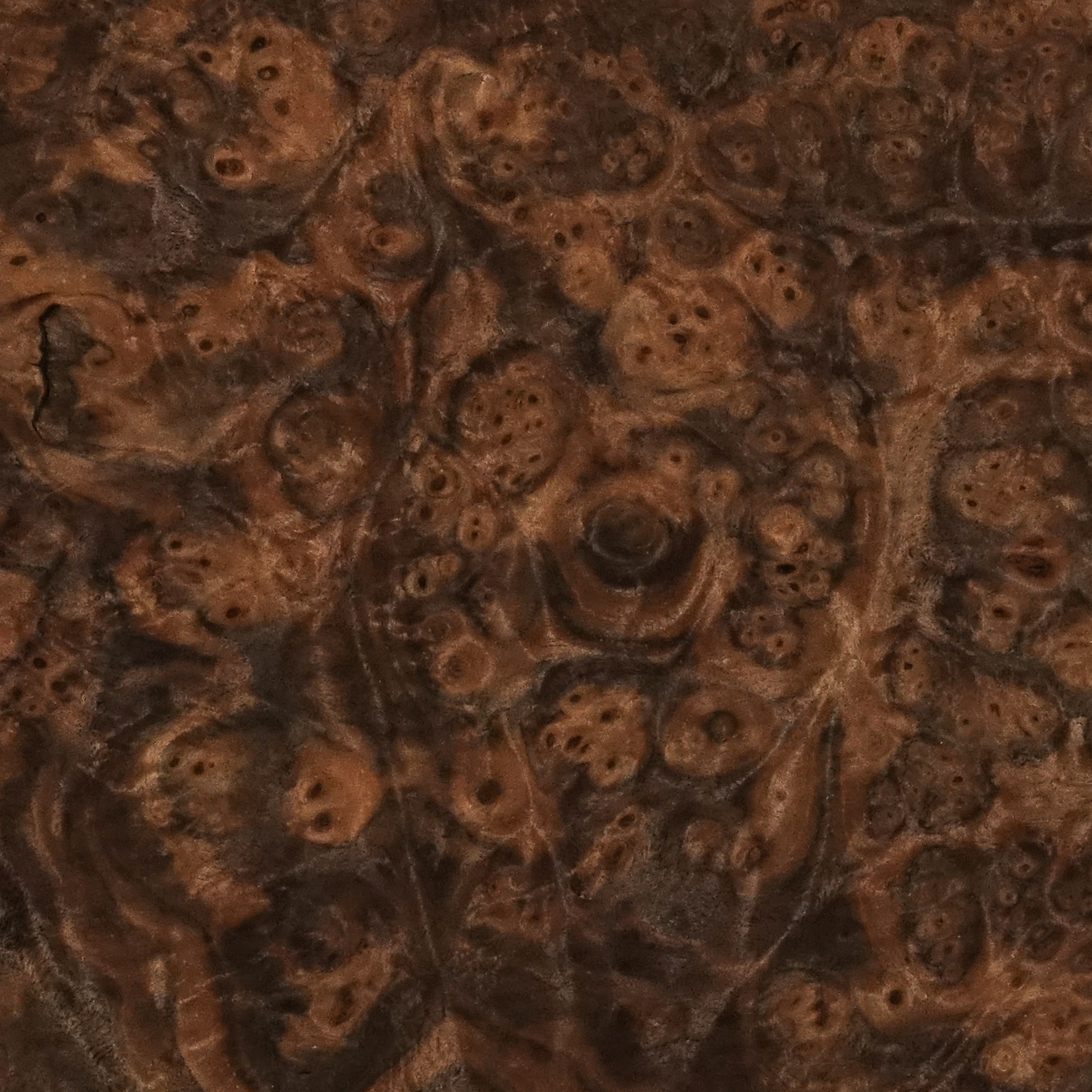 Walnut Burr 36cm X 29cm – 6 Sheets – Top Veneer