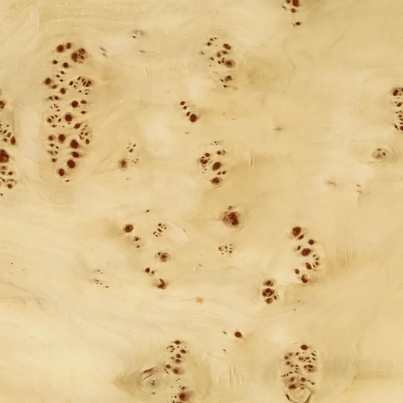 637644636065104122.jpg 637644636065104122.jpg