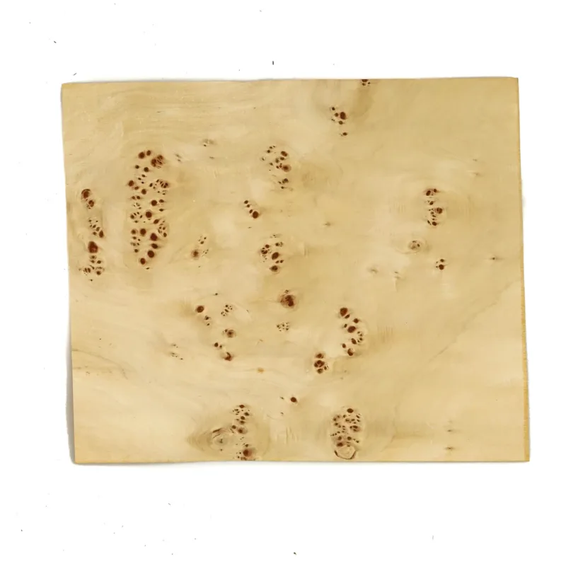 637644636169532527.jpg 637644636169532527.jpg