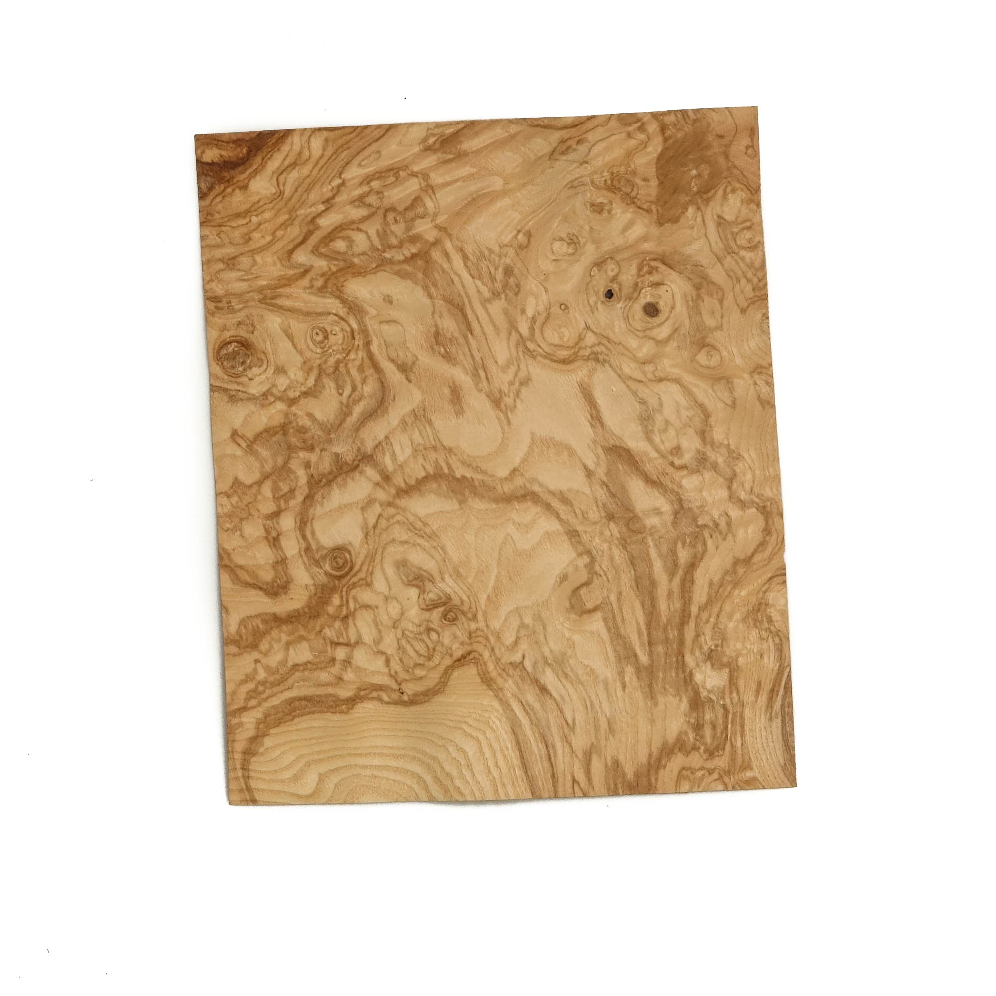 Olive Ash Burr 26cm X 22cm – 4 sheets – Top Veneer
