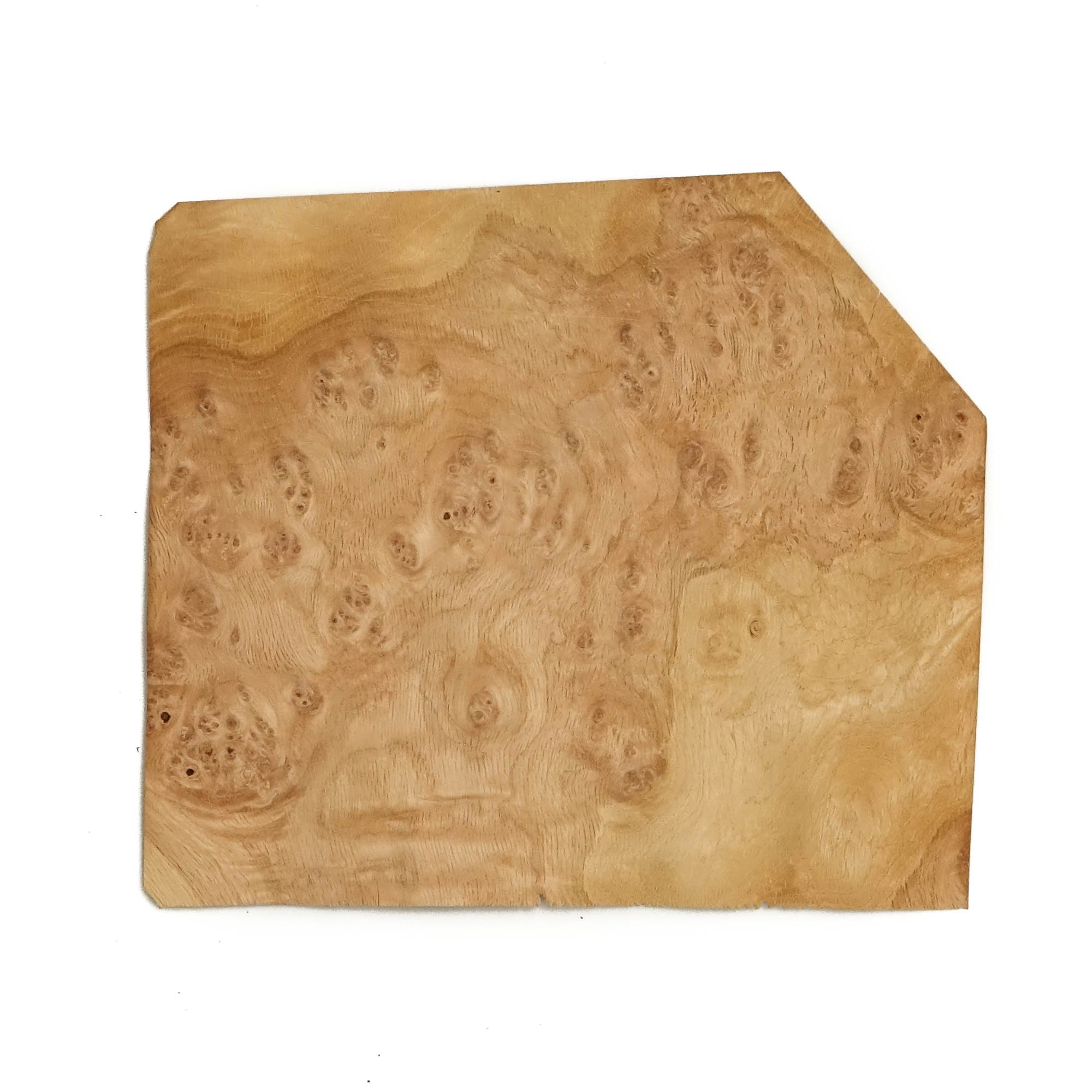 Oak Burr 30cm X 18cm – 4 sheets – Top Veneer