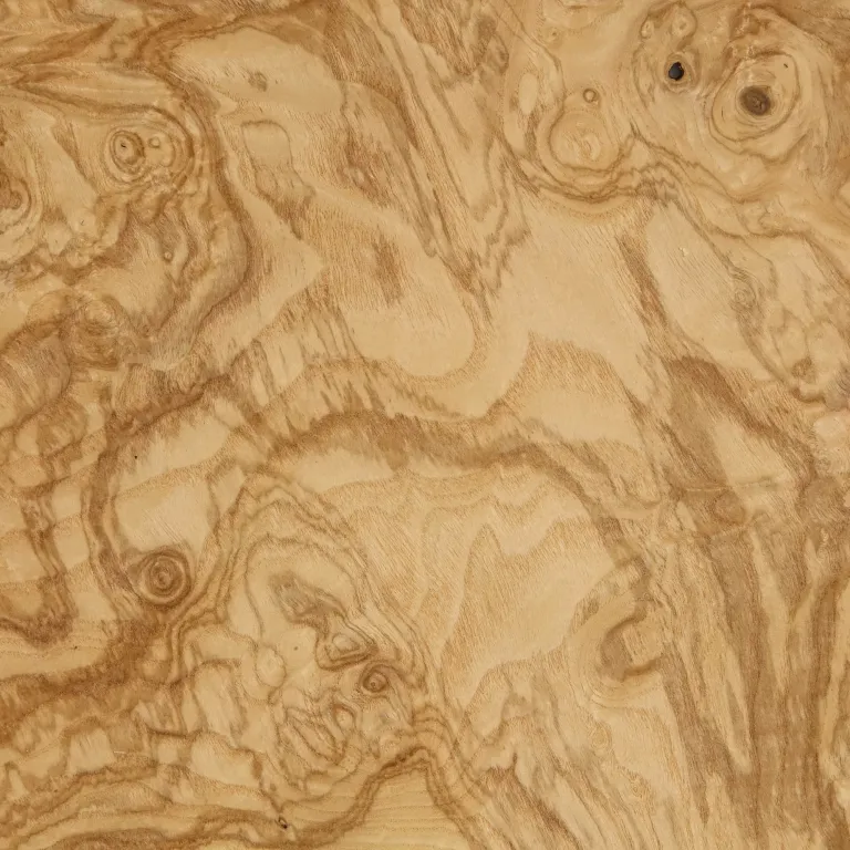 Burl wood veneer