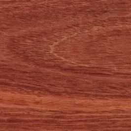 638297883136831500.jpg
