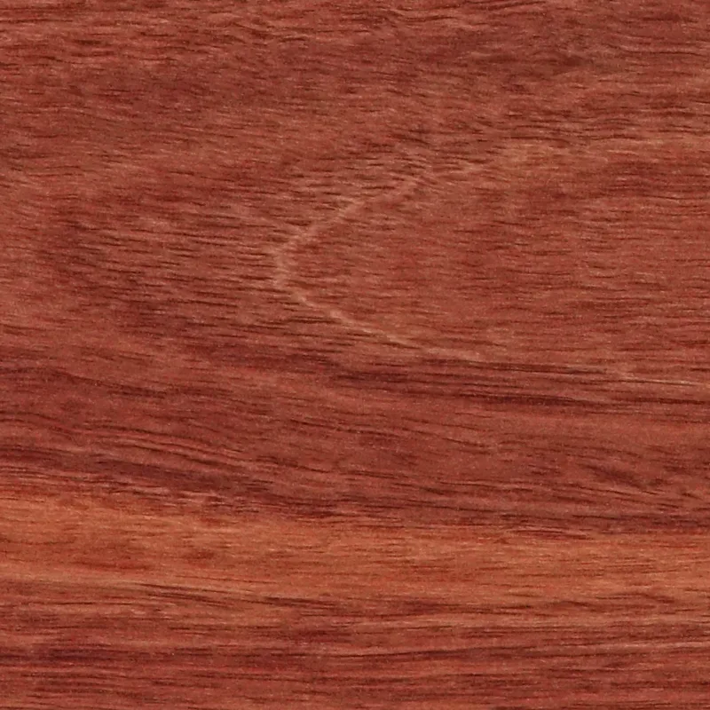 638297883136831500.jpg