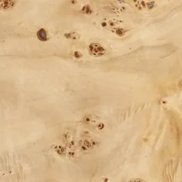 638298788979645021.jpg