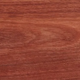 638298827197890576.jpg