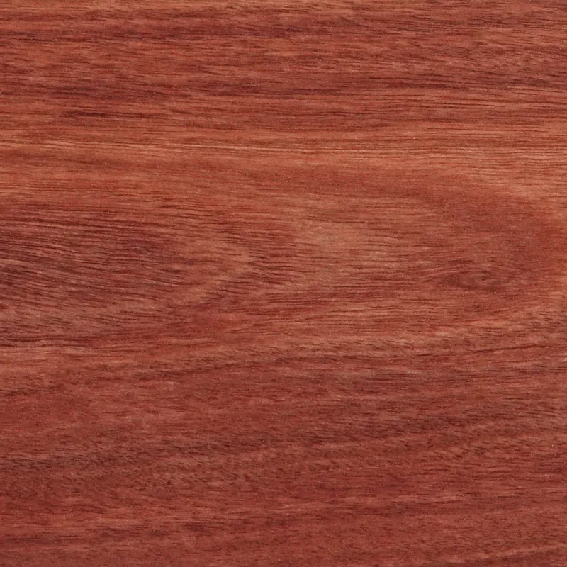 638298827197890576.jpg