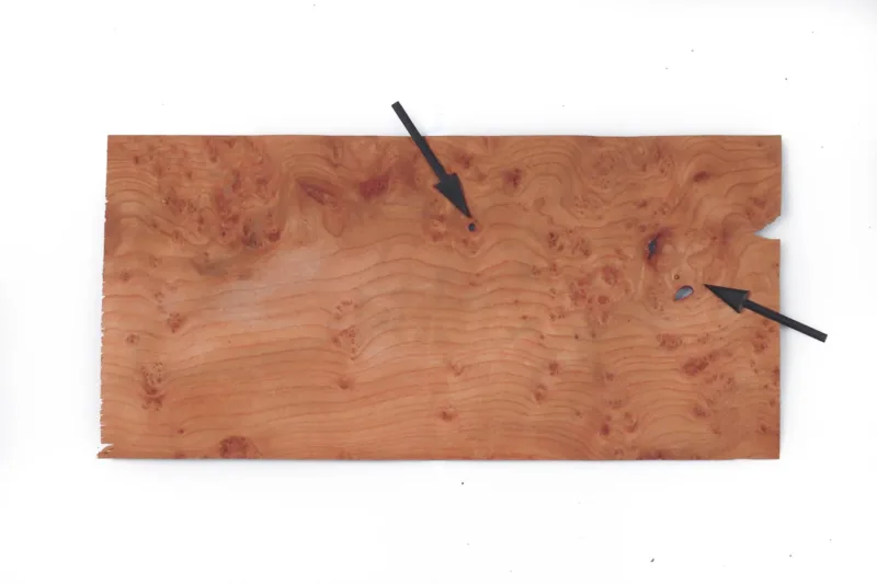 638447983362977391.jpg 638447983362977391.jpg