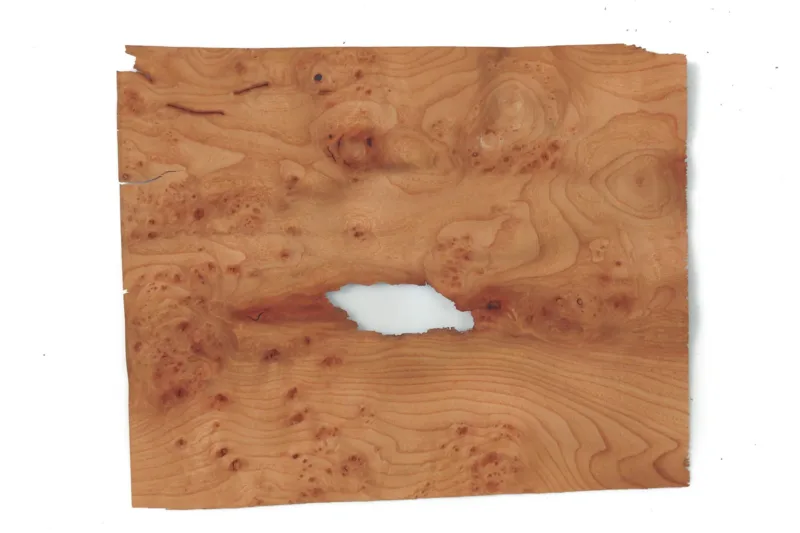 638448002353269975.jpg 638448002353269975.jpg