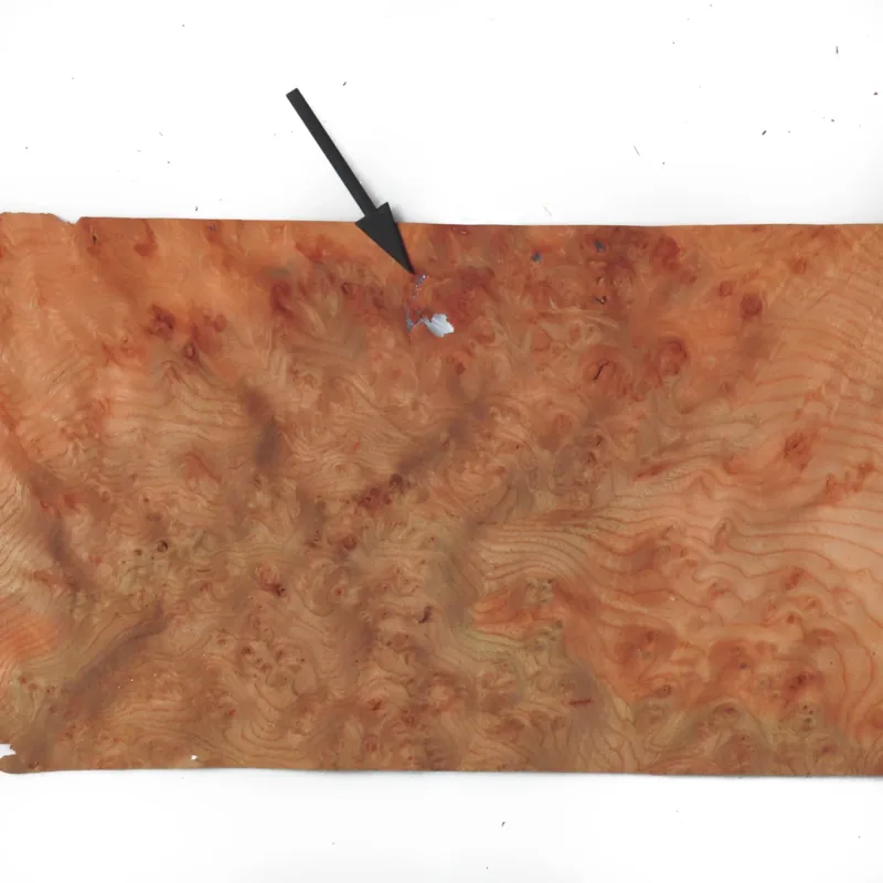 638448047566953701.jpg 638448047566953701.jpg