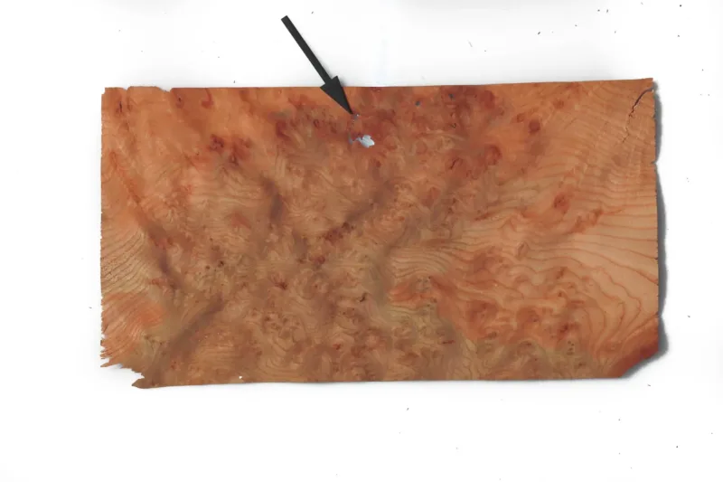 638448047595071800.jpg 638448047595071800.jpg