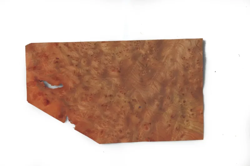 638448057472742106.jpg 638448057472742106.jpg