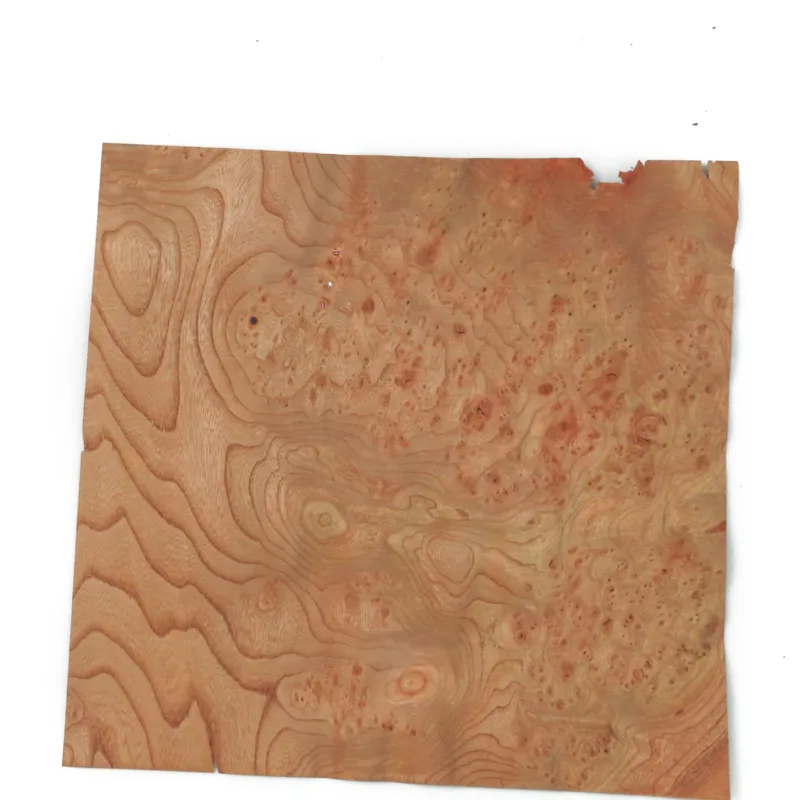 638448828617075642.jpg 638448828617075642.jpg