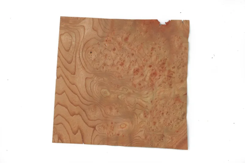 638448828669061712.jpg 638448828669061712.jpg