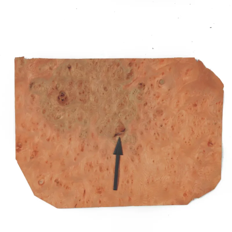 638448831447357950.jpg 638448831447357950.jpg