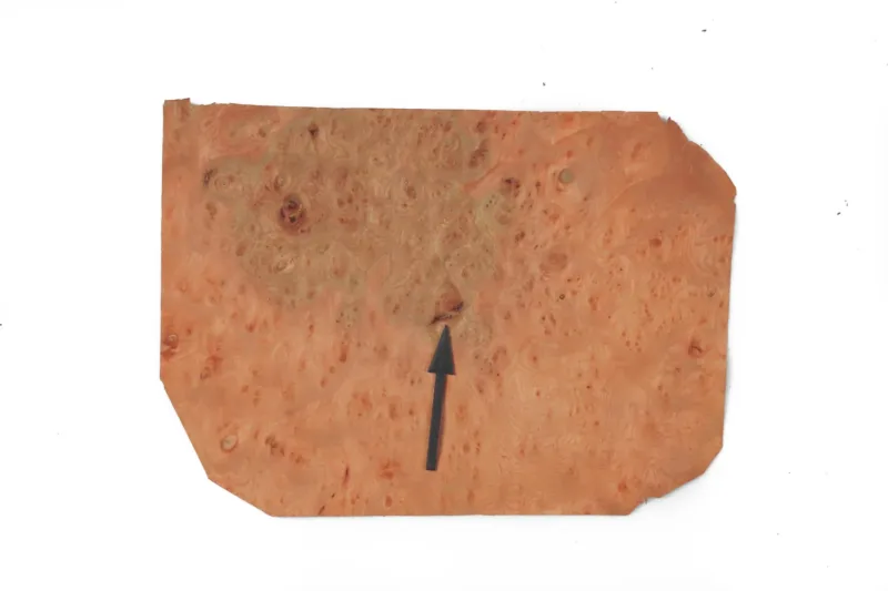 638448831492198019.jpg 638448831492198019.jpg