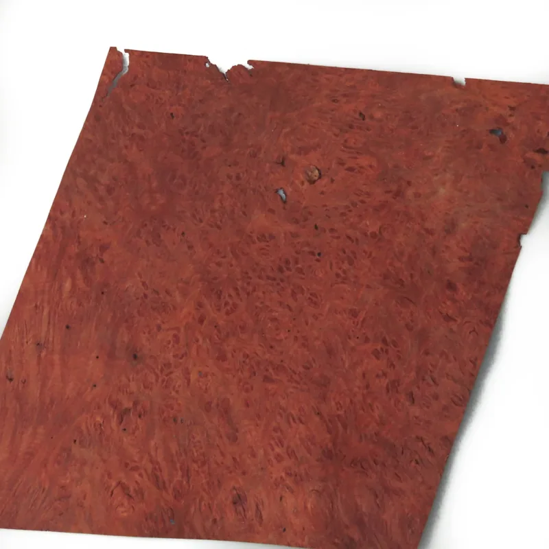 638448910793024530.jpg 638448910793024530.jpg