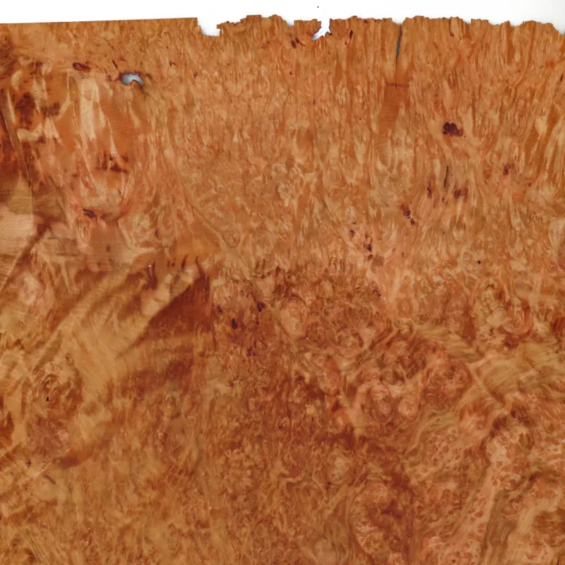 638453438065991721.jpg 638453438065991721.jpg