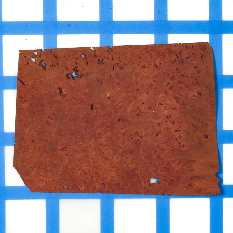 638461850464497445.jpg 638461850464497445.jpg