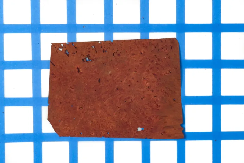 638461850496602903.jpg 638461850496602903.jpg