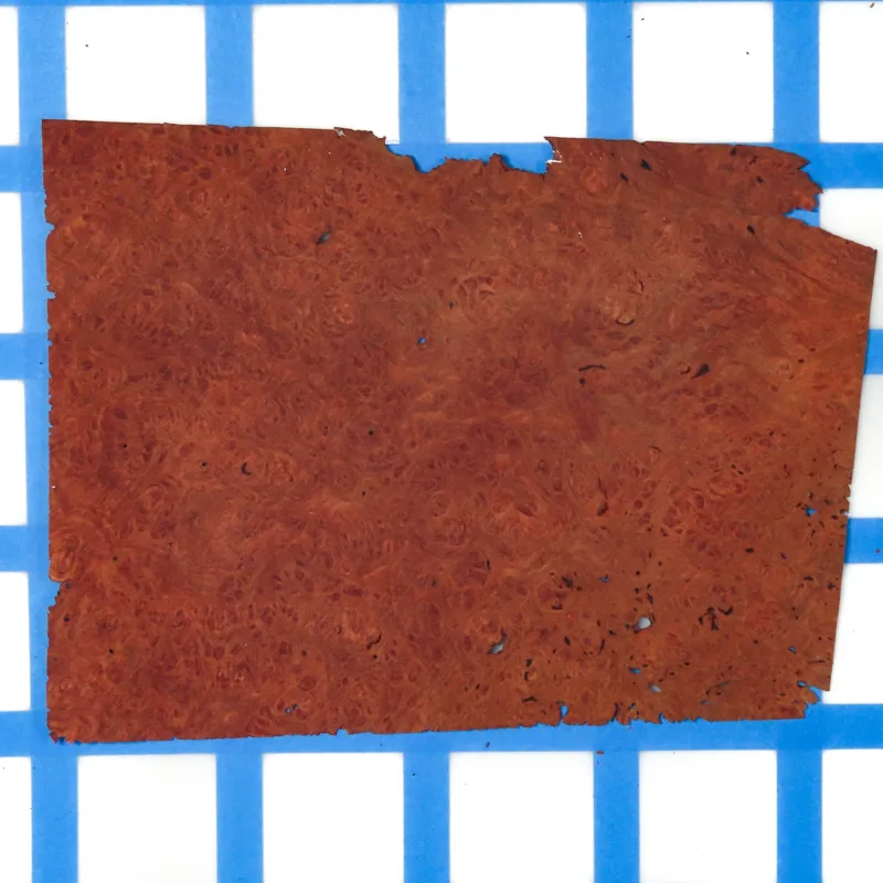 638461869321599869.jpg 638461869321599869.jpg