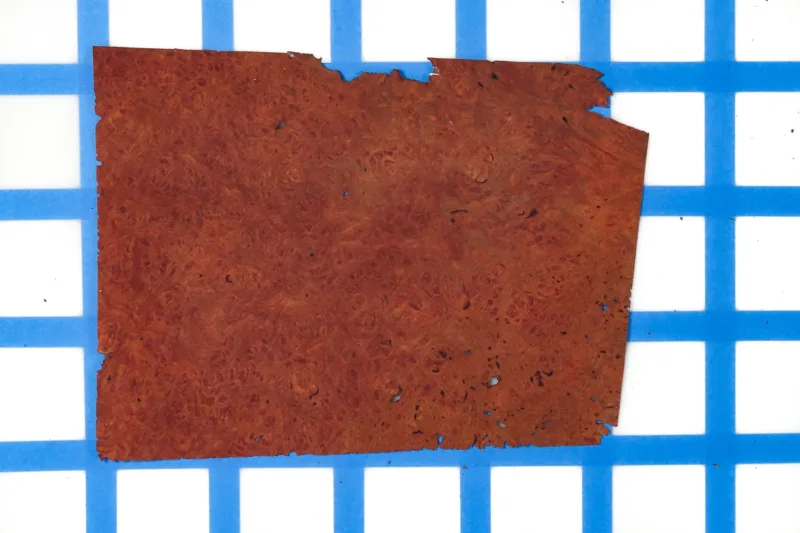 638461869353132960.jpg 638461869353132960.jpg