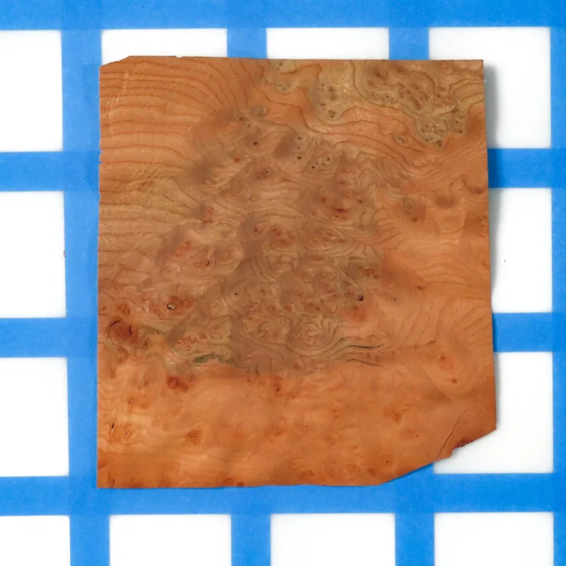 638463561171763795.jpg 638463561171763795.jpg