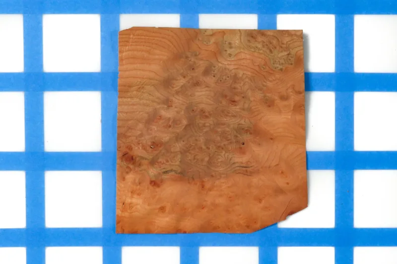 638463561188713572.jpg 638463561188713572.jpg