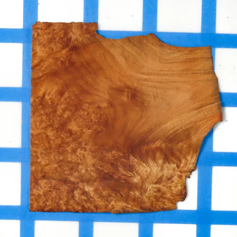 638464423006703879.jpg 638464423006703879.jpg