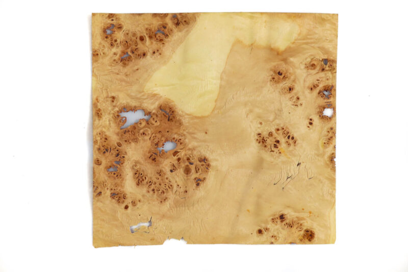 638581150225533837.jpg 638581150225533837.jpg