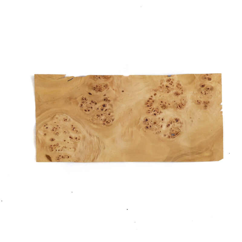 638581878224465450.jpg 638581878224465450.jpg