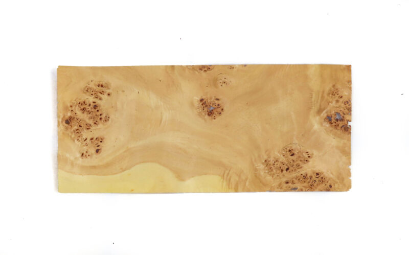 638581882732731466.jpg 638581882732731466.jpg