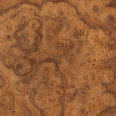Walnut Burr / Burl 47cm X 28cm - 2 sheets - 0.6mm thick