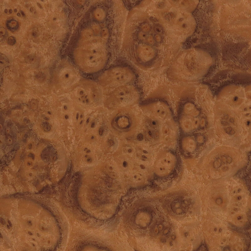 638897430045213525-1.jpg