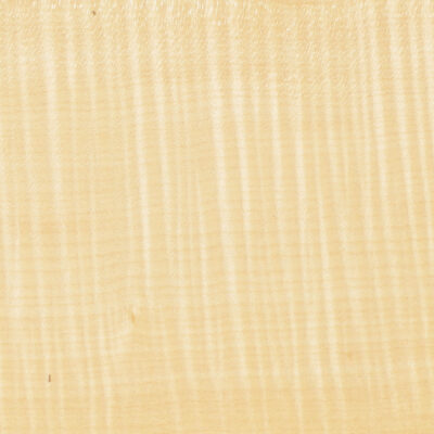 Sycamore (Figured) 135cm X 14cm - 2 sheets - 0.6mm thick