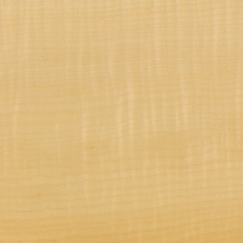 638902549138594464-1.jpg