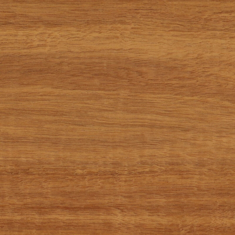 638912884000299006-1.jpg