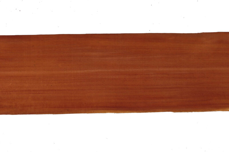 638918929986813864-1.jpg 638918929986813864-1.jpg