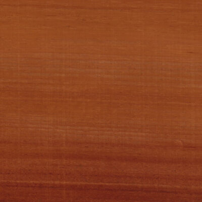 Tasmanian Blackwood 163cm X 24cm - 2 sheets - 0.6mm thick